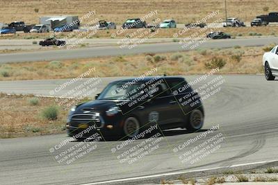 media/May-24-2025-Extreme Speed (Sat) [[067a6f0386]]/Blue Group/Turn 2 and 4/